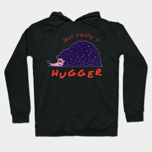 Not really a hugger Hoodie